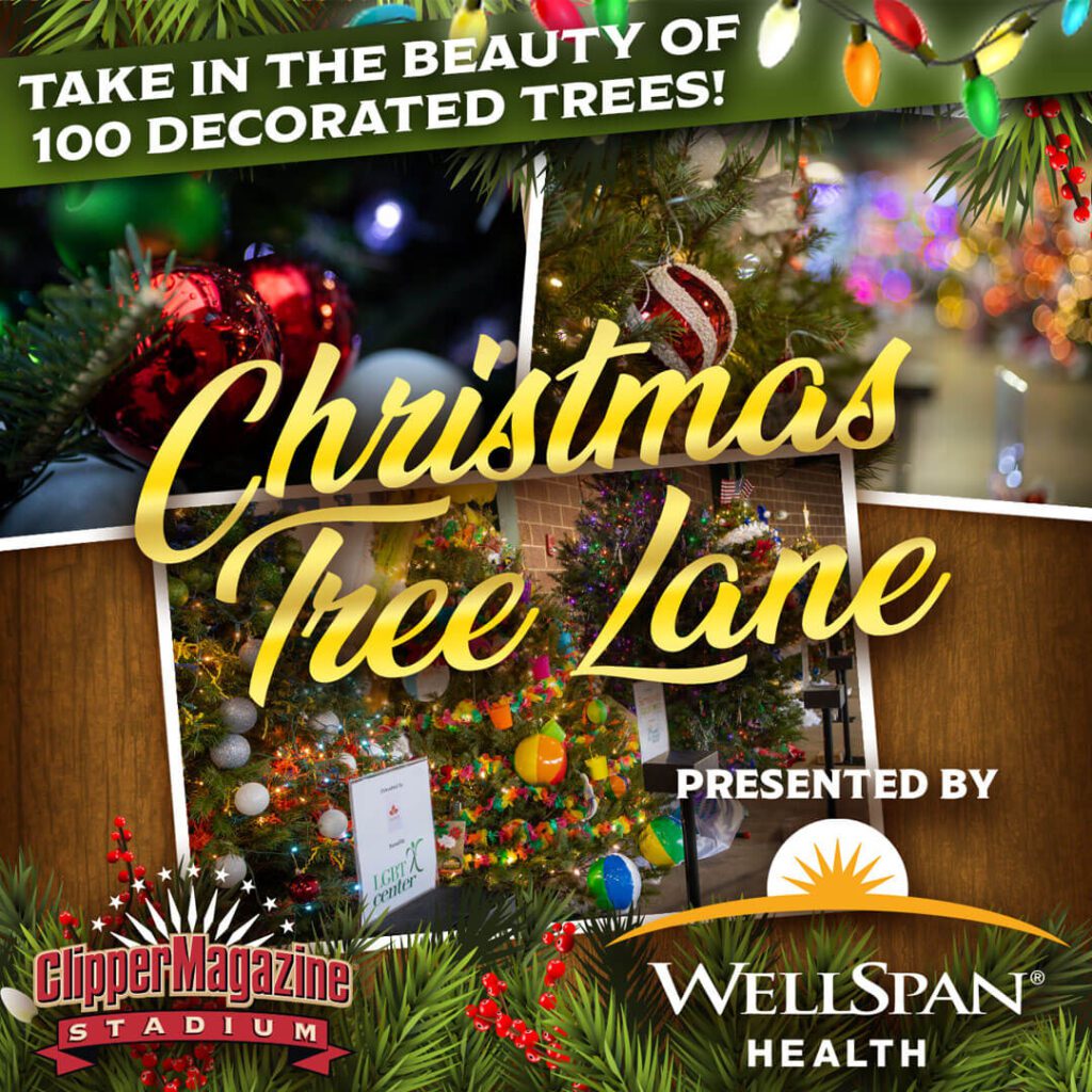 Take in the beauty of 100 decorated trees. Christmas Tree Lane Presented by WellSpan Health. Image contains pictures of decorated Christmas Trees