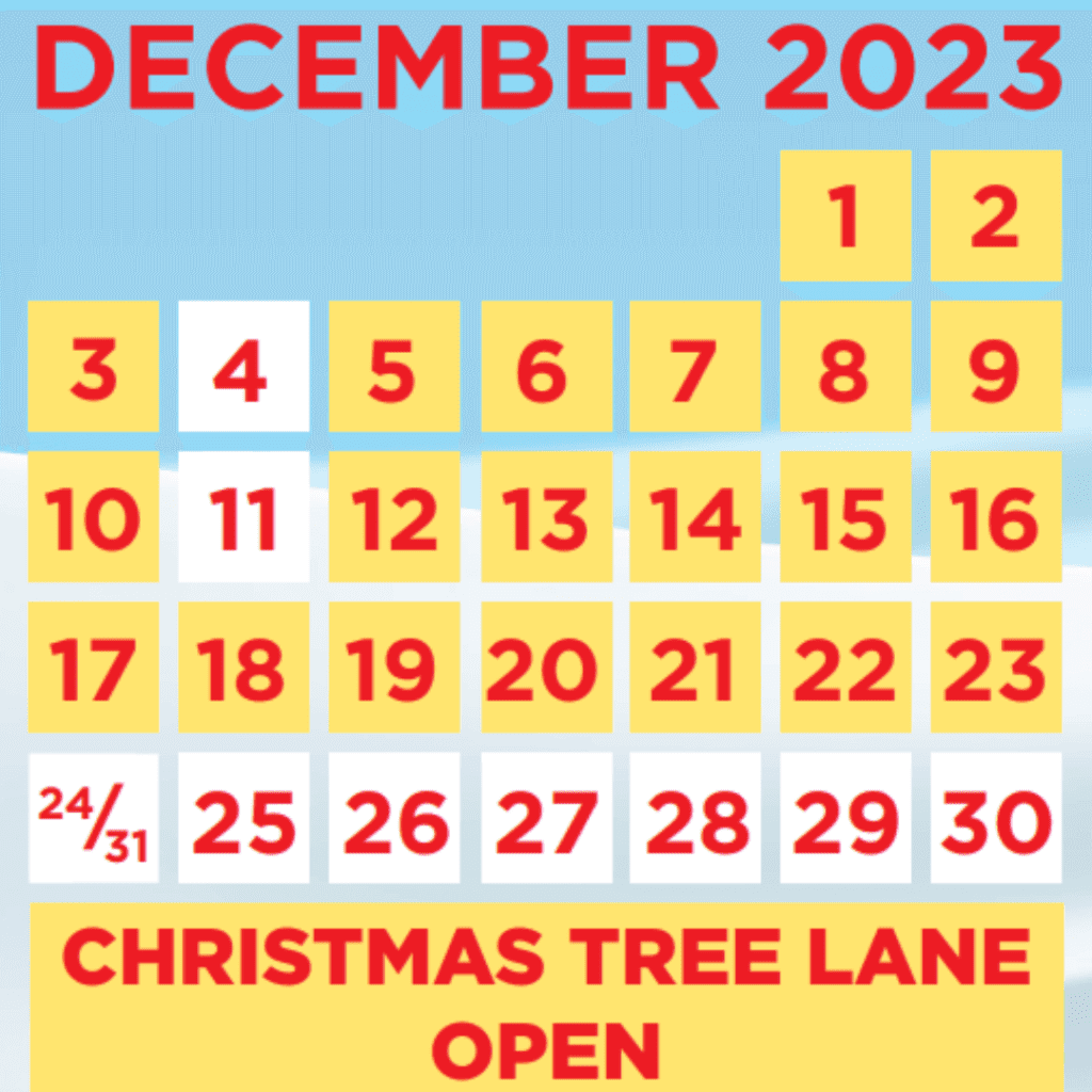 December 2023 Calendar Picture